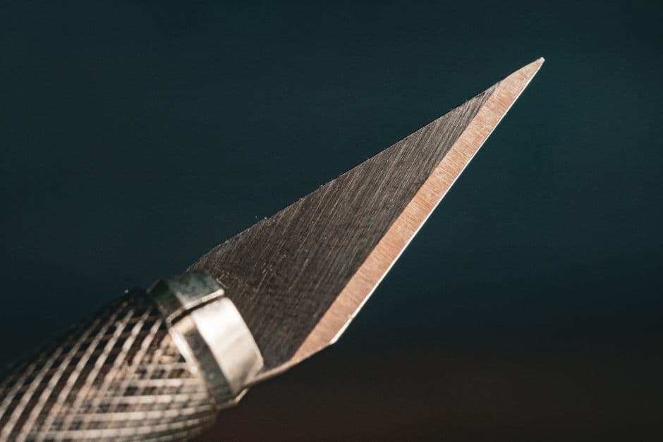 Single Bevel vs Double Bevel Knives